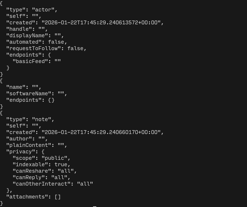 Terminal showing PawPub objects in the terminal generated by Rust and serialised.