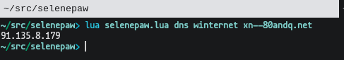 A screenshot of my terminal in the ~/src/selenepaw directory. I am running a Lua file called selenepaw.lua with the dns winternet xn--80andq.net arguments. It is returning 91.135.8.179